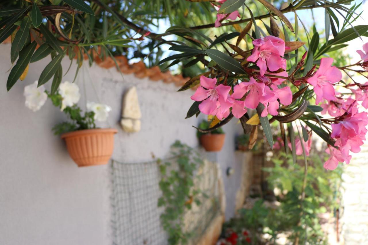 Apartment Sole Πόρετς Εξωτερικό φωτογραφία